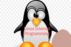 Linux Kernel  Basics Training (instructor Led training by Experts)