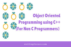 Object Oriented Programming Using C++ for Non C Programmers  (Instructor Led Live Training)
